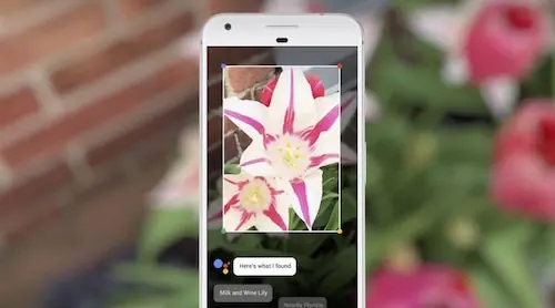 Google Lens: tante novità in arrivo