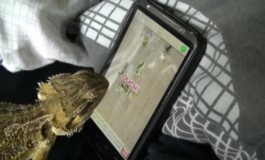 Pubblicità originale per Schiaccia Formiche