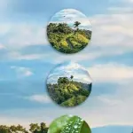 Honor 20: nuove informazioni sul comparto fotografico