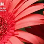 Xiaomi Mi 9: svelate le caratteristiche delle 3 fotocamere posteriori